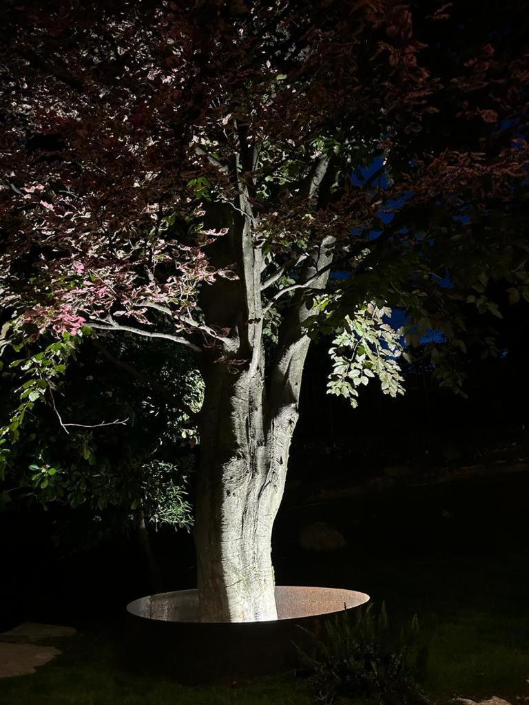 科莫I Faggi Rossi - Red Beech Trees别墅 外观 照片