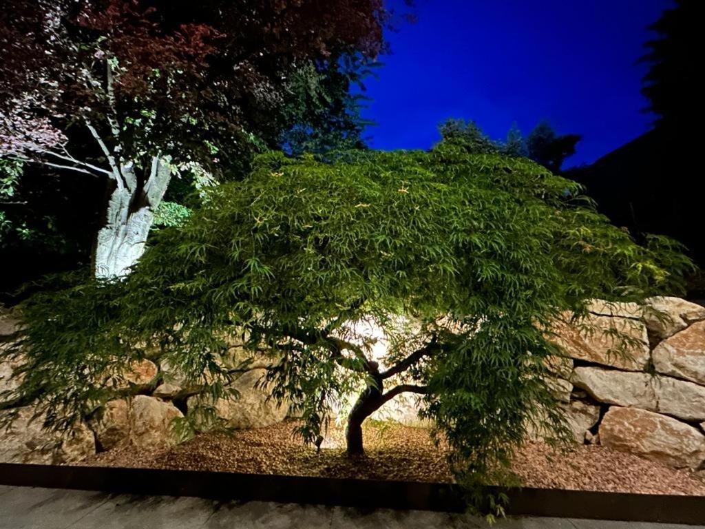 科莫I Faggi Rossi - Red Beech Trees别墅 外观 照片